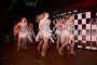 Thumbs/tn_Jubileum feest 5x11 180.jpg